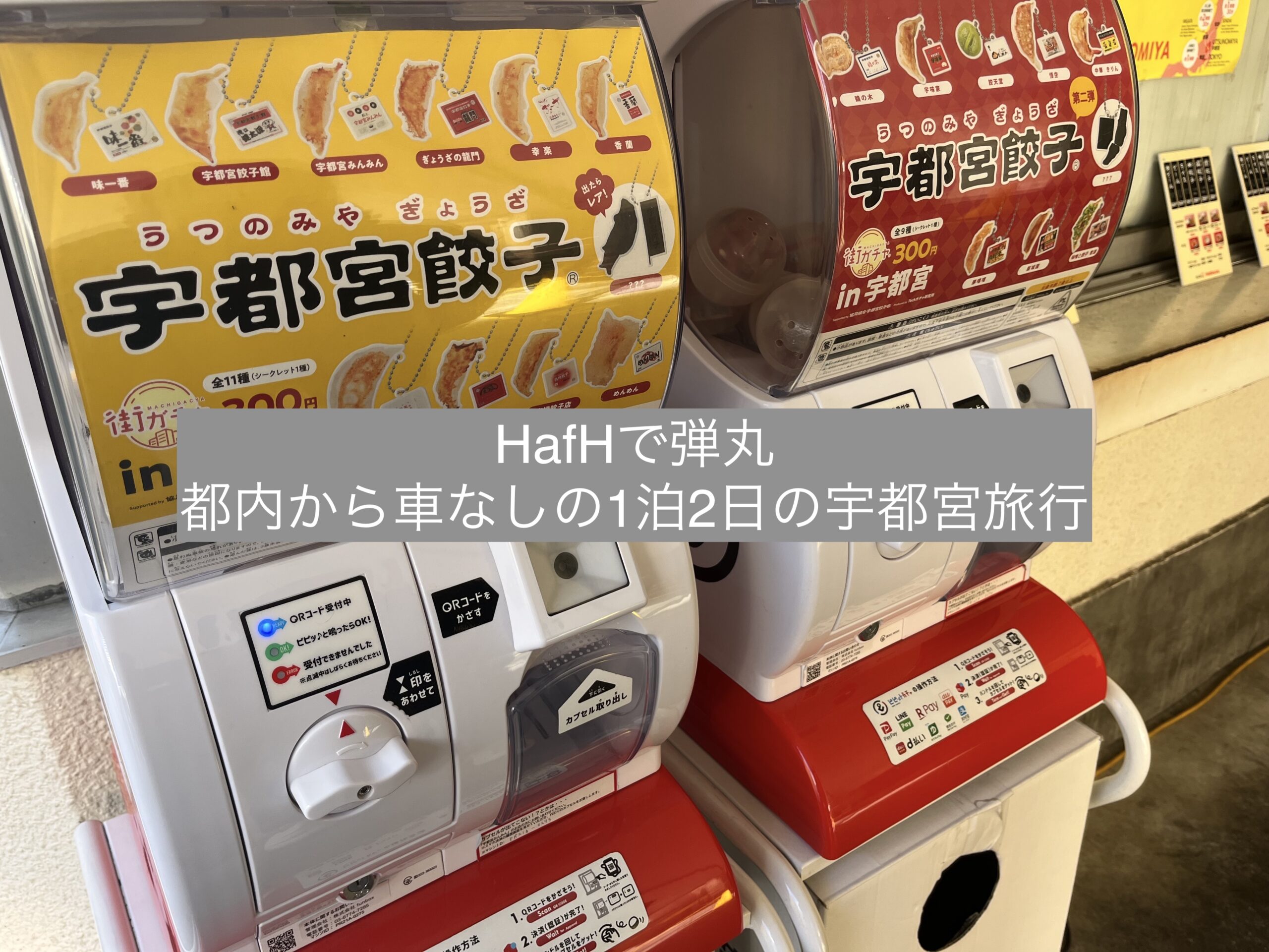 HafHで弾丸食い倒れ旅行】都内から車なしの1泊2日で宇都宮へ | 「ふぃ」を大切に